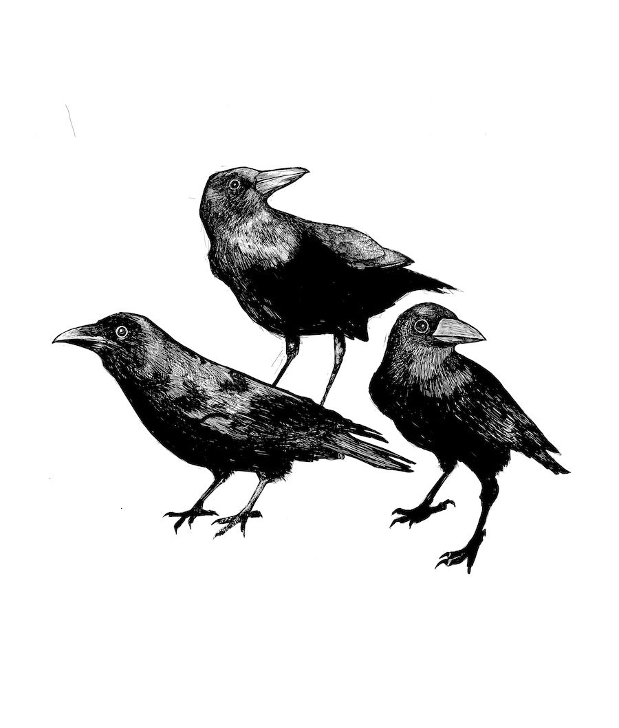 Three Crows