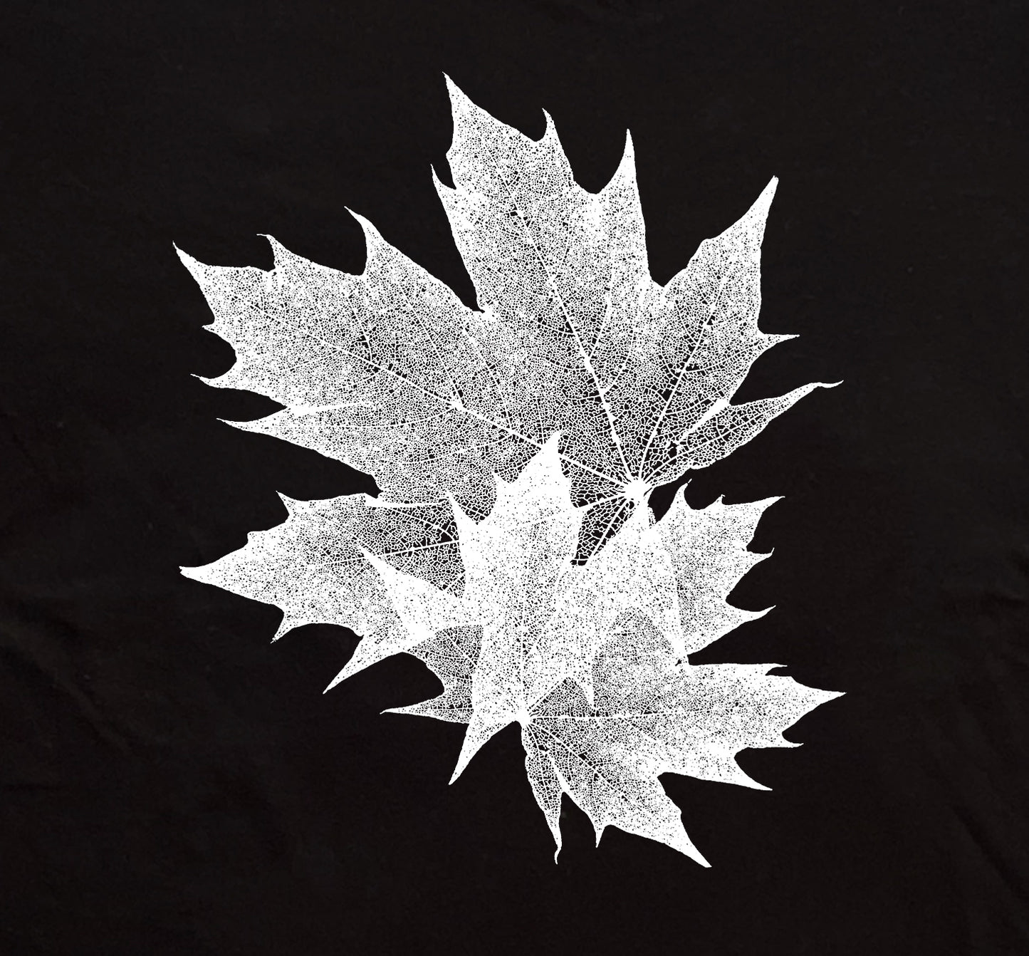 Maple Leaves - Lightweight Signature Tee