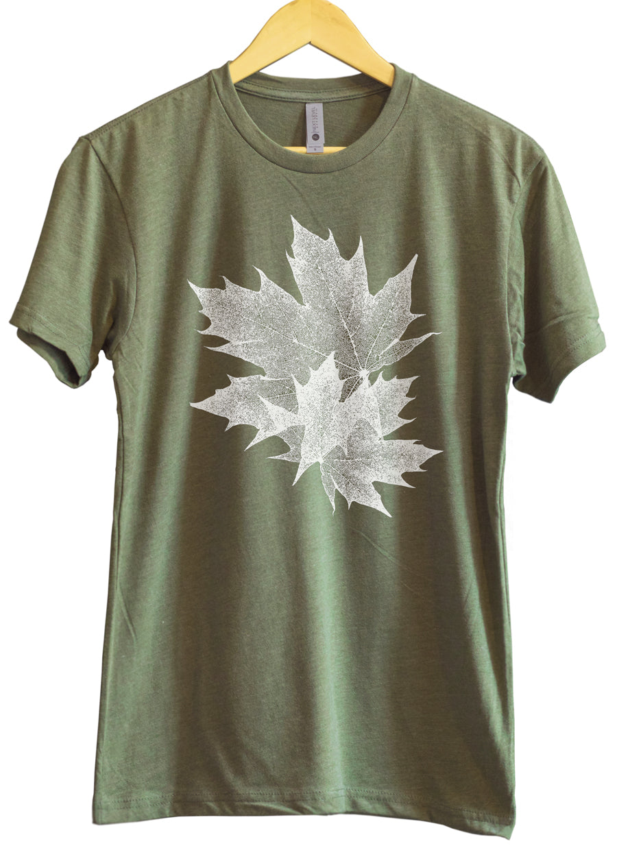 Feuilles d'érable