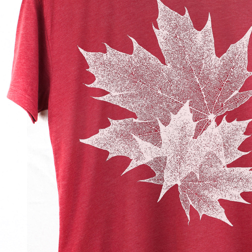 Feuilles d'érable