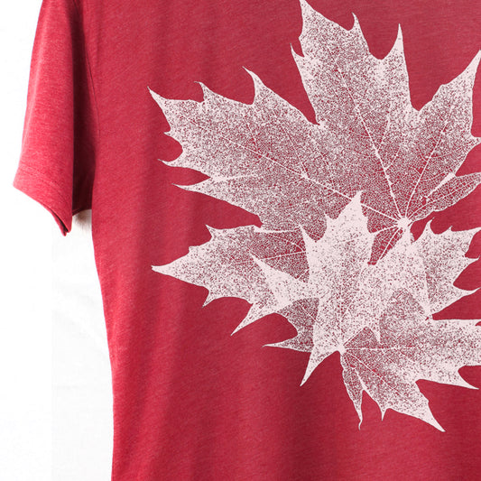 Maple Leaves