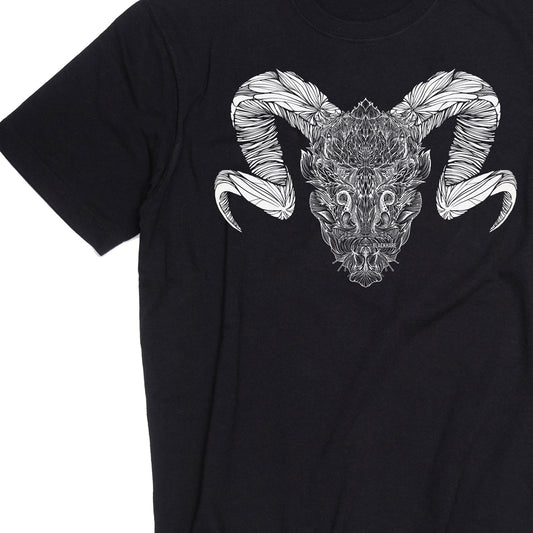 Ram Skull 2.0 🍁