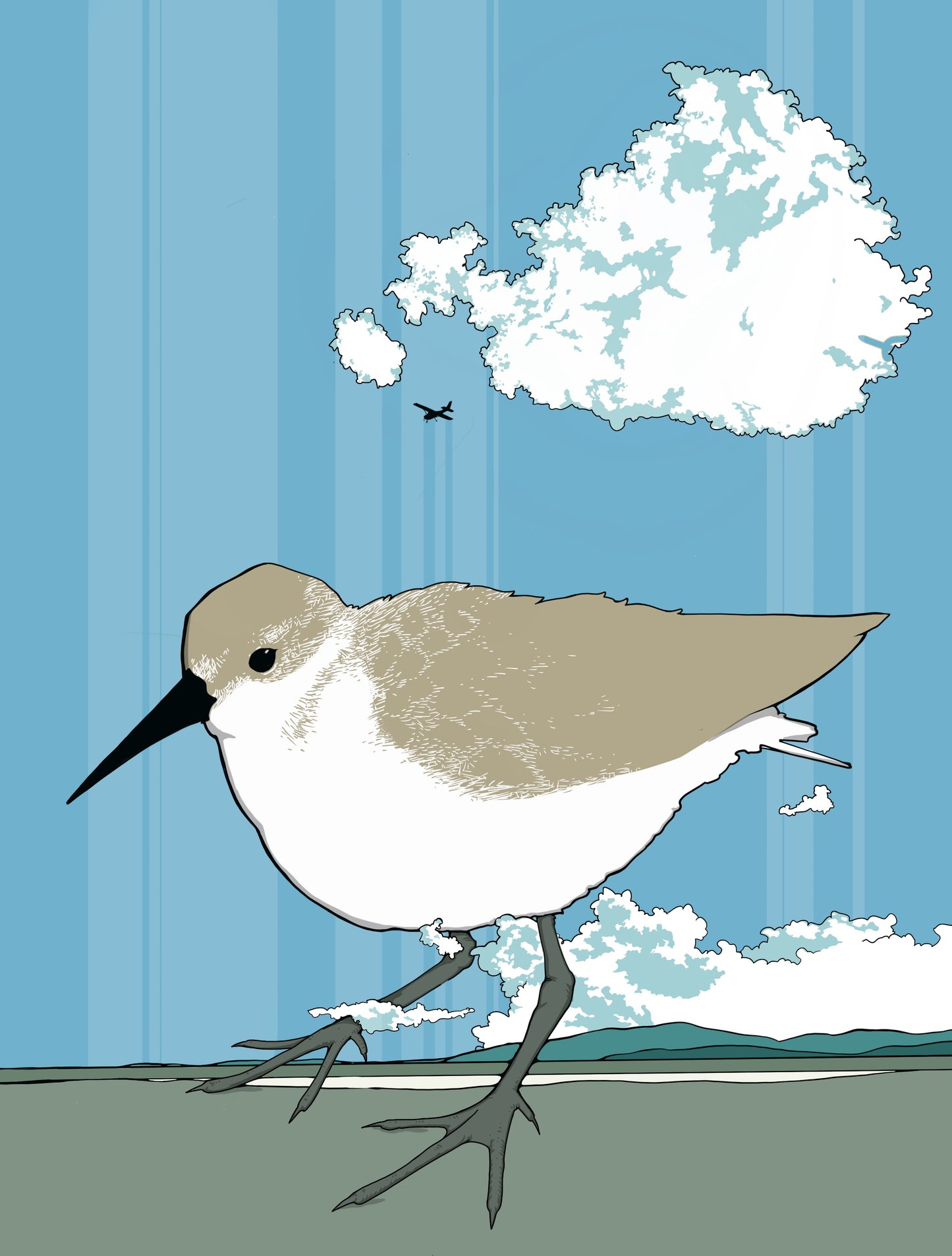 Sandpiper Print
