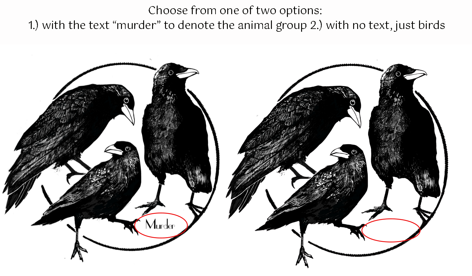 Crows - Sueded Long Sleeve
