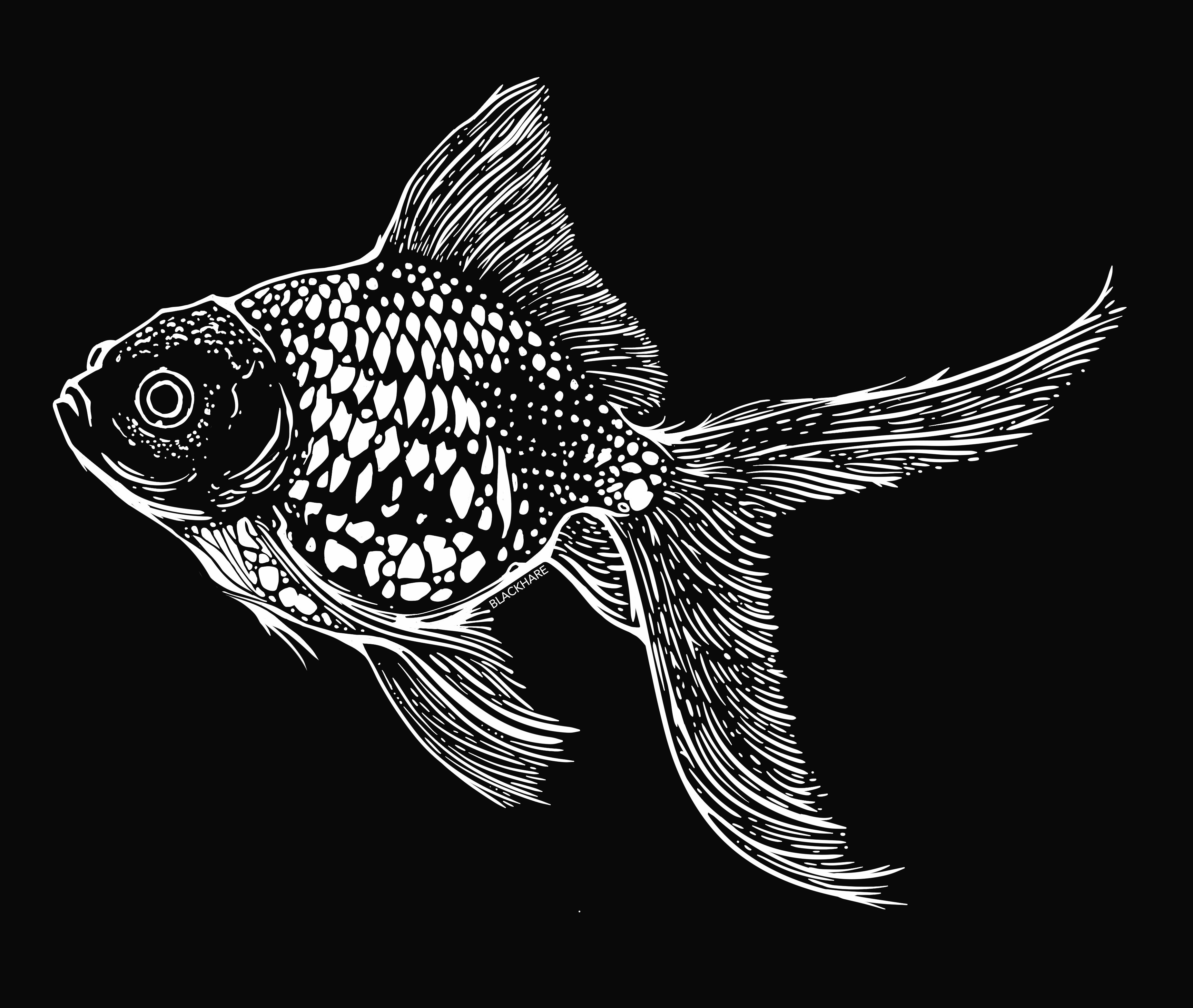 Goldfish - Lightweight CVC Signature Tee