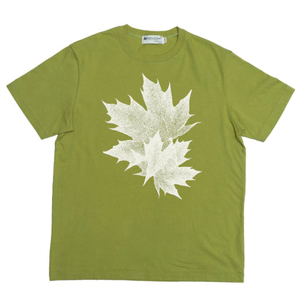Maple Leaves 🍁