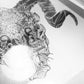 Ram Skull 2.0 - Lightweight Signature Tee
