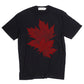 Maple Leaves 🍁