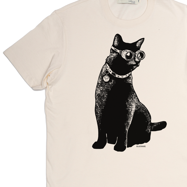 Bits the Cat
