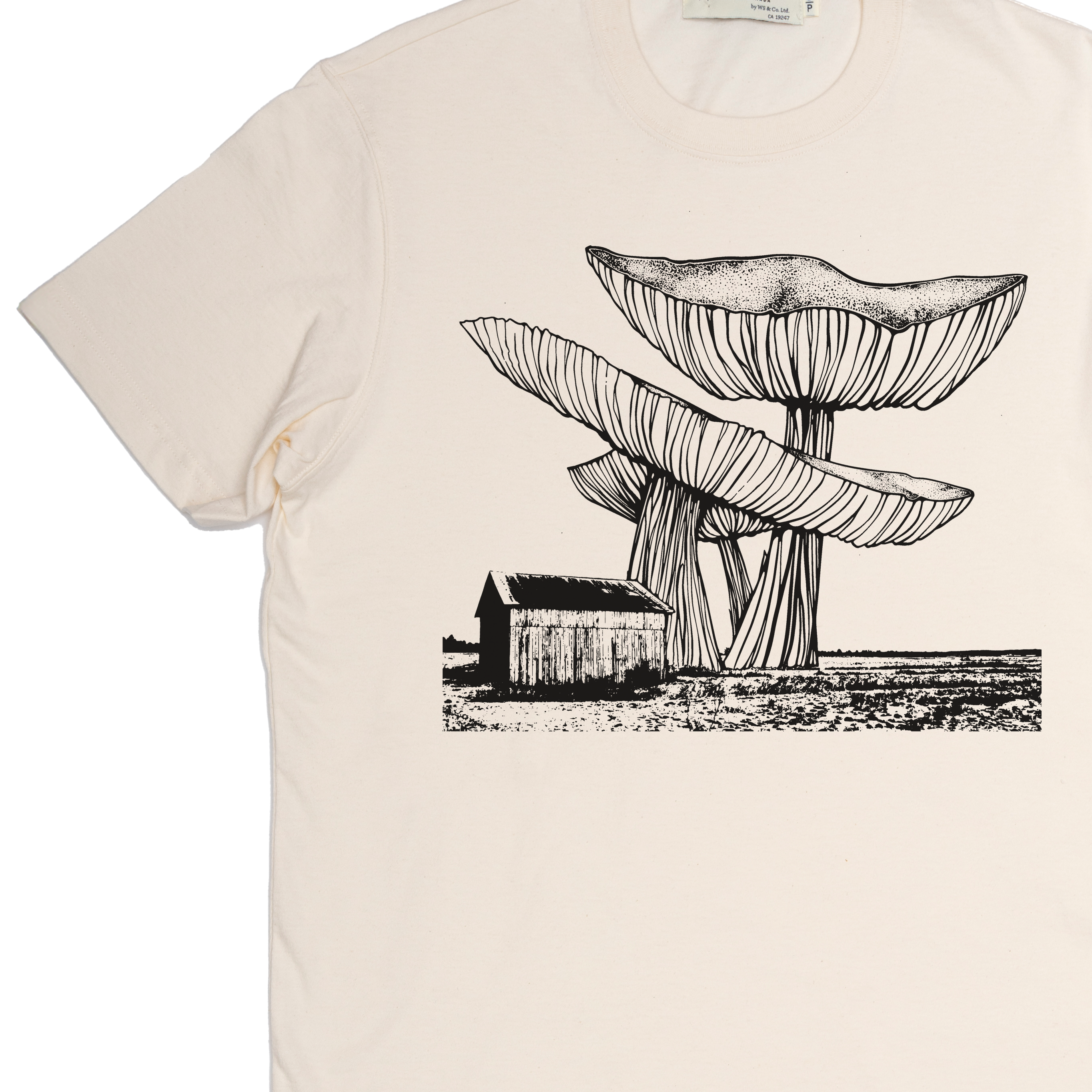 "Marsh Mushrooms" Made in Canada Midweight Tee 🍁