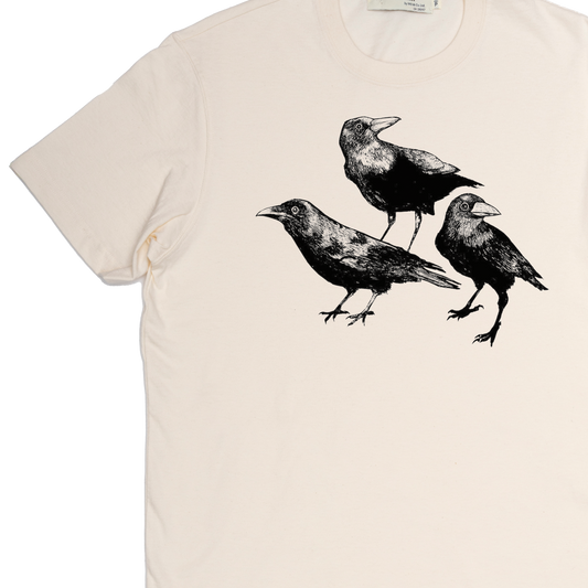 Crows.