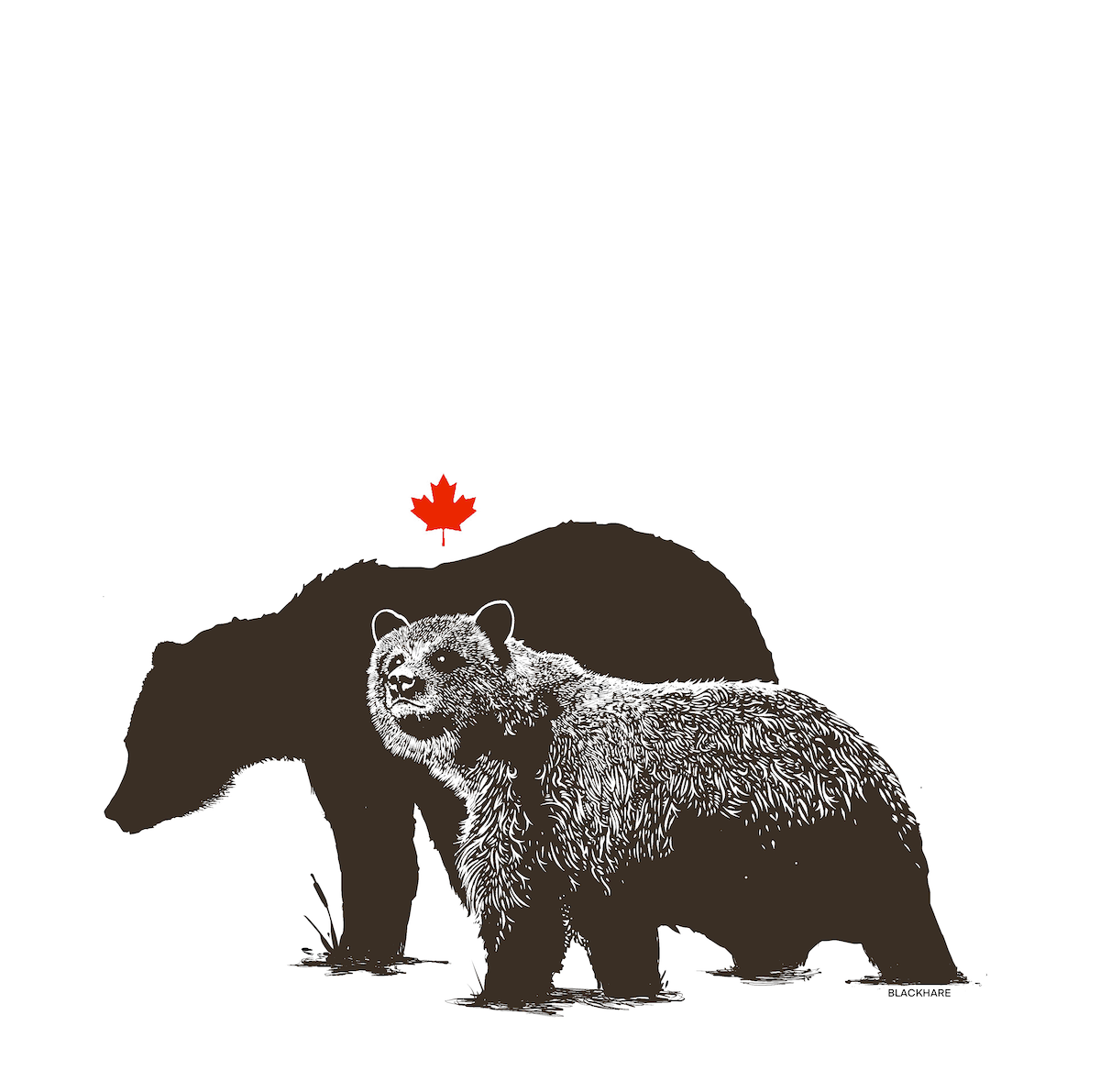 Shadow Bear - Lightweight Women's Signature Tee