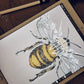 Bee Graphic Tee