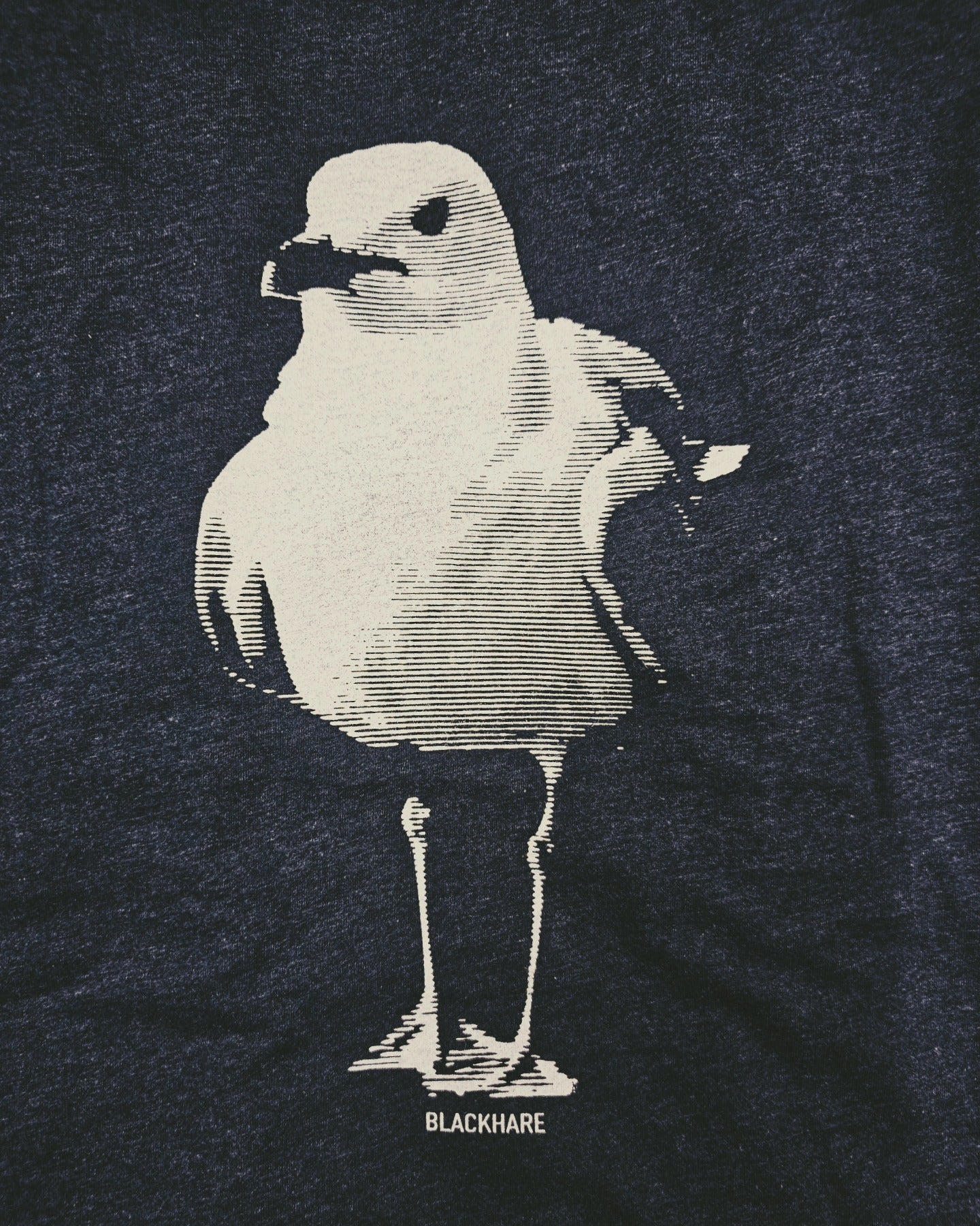 Seagull